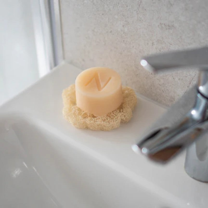 Esponja de Luffa
