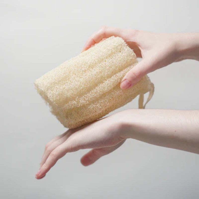 Esponja de Luffa