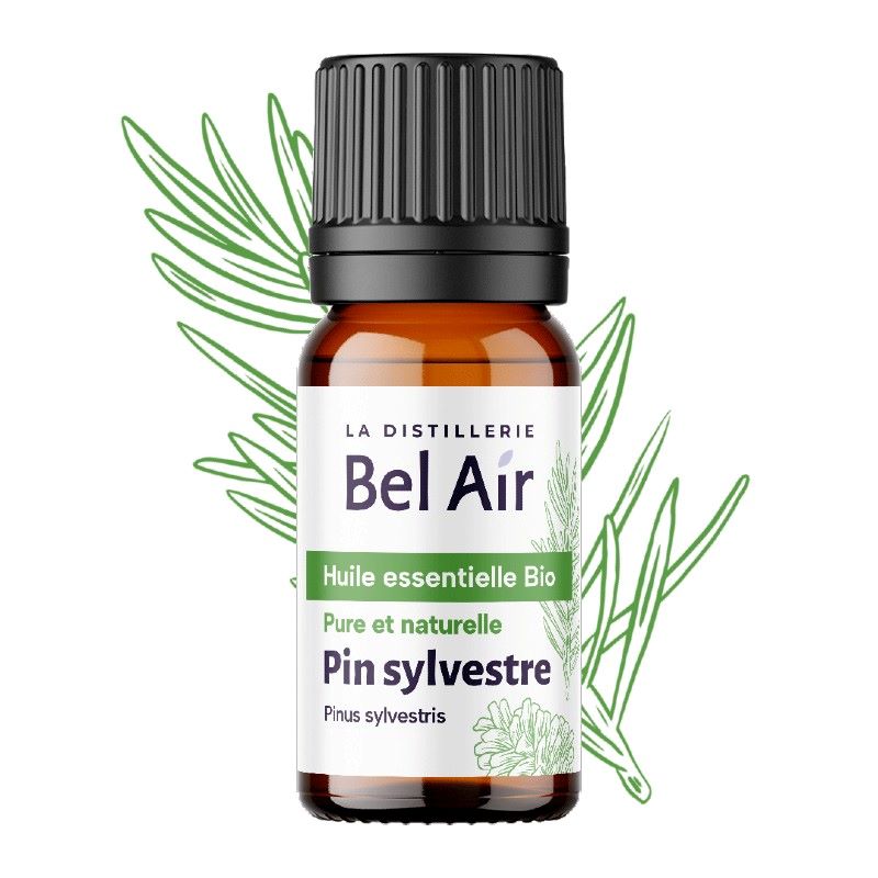 Organic Scots Pine Essential Oil