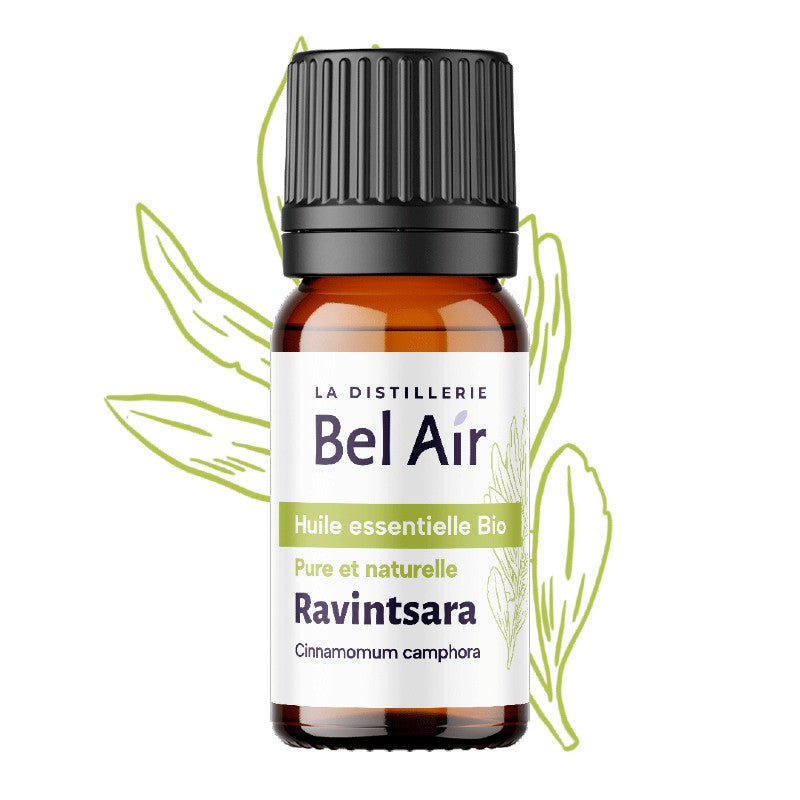 Aceite esencial de Ravintsara orgánico