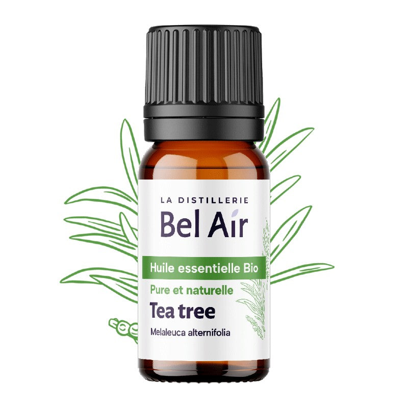 Organic Tea Tree Essential Oil - Tea tree