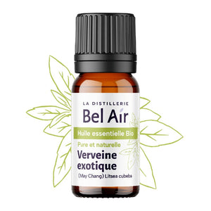 Organic Exotic Verbena Essential Oil - Litsea cubeba