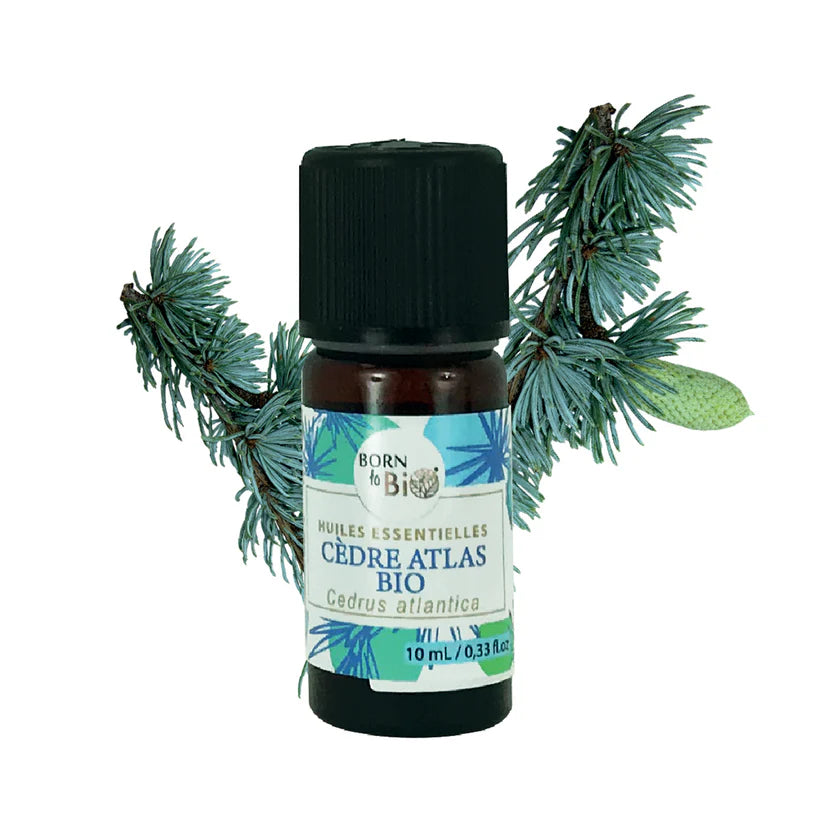 Óleo essencial Biológico Cedro do Atlas da Born to Bio 10 ml