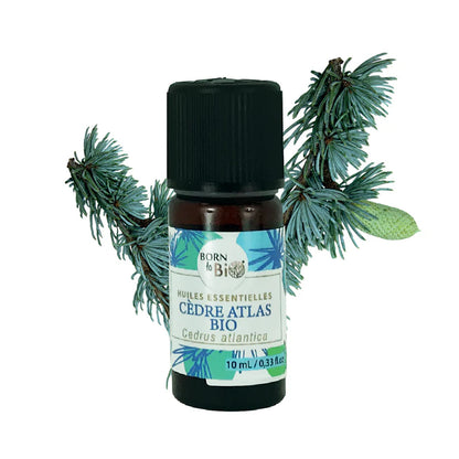 Óleo essencial Biológico Cedro do Atlas da Born to Bio 10 ml