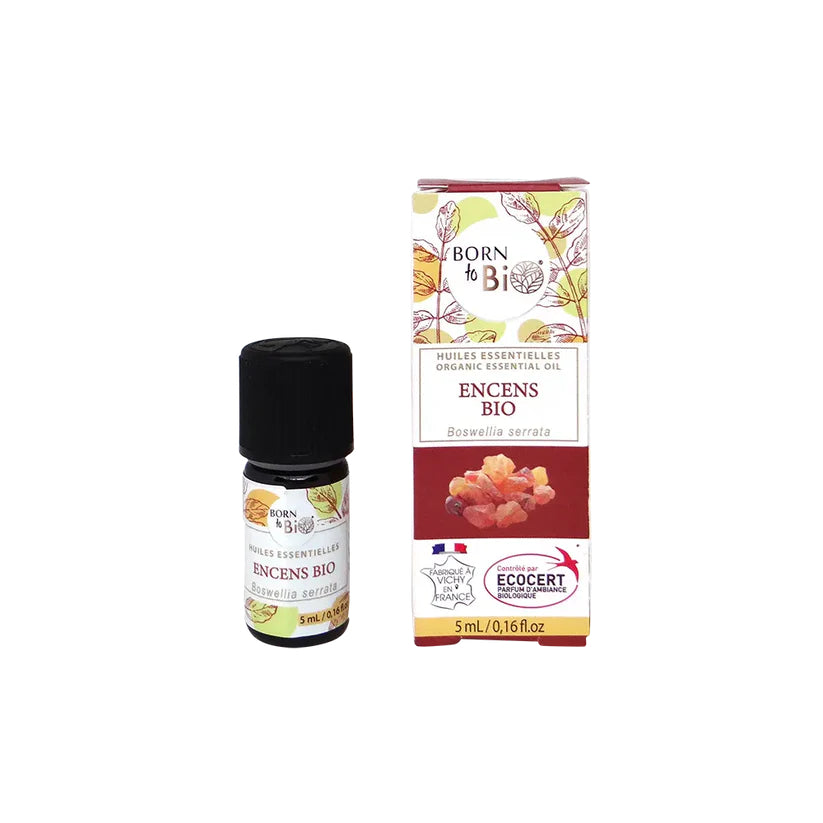 Óleo Essencial Biológico Incenso (Boswellia serrata) da Born to Bio 5 ml (com caixa)