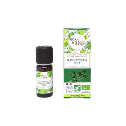 Óleo Essencial Biológico Ravintsara (Cinnamomum camphora) da Born to Bio 10ml