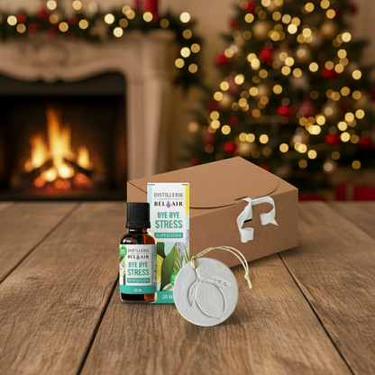 conjunto bye bye stress com perfume de ambiente bel air e difusor passivo.