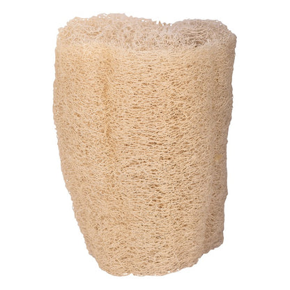 Luffa Sponge