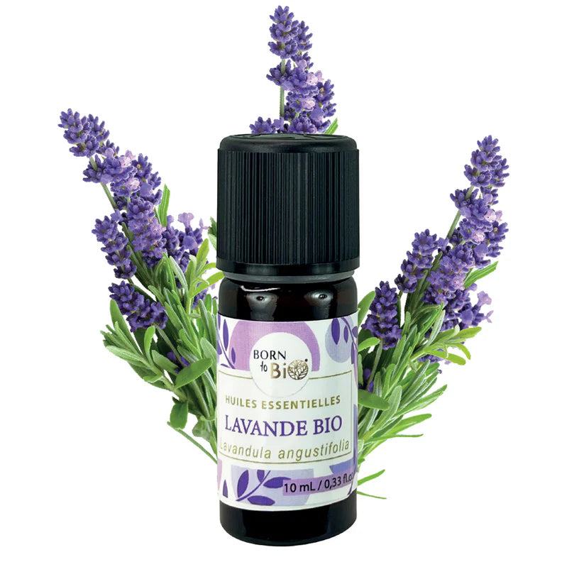 Óleo Essencial Biológico de Lavanda da Born to Bio 10ml