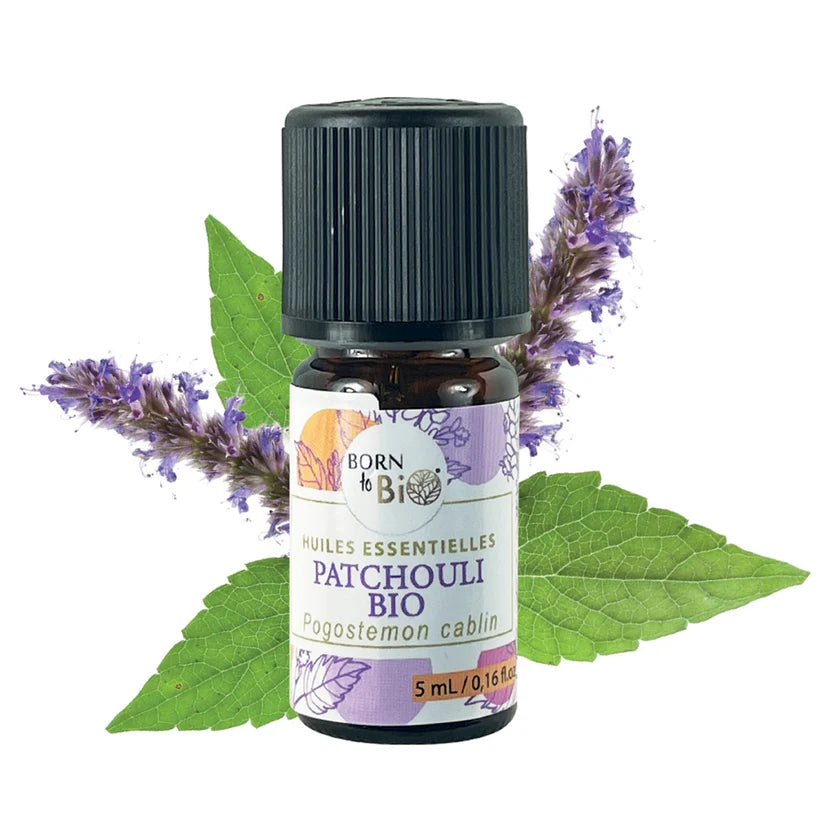Óleo Essencial Biológico Patchouli (Pogostemon cablin) da Born to Bio 5ml
