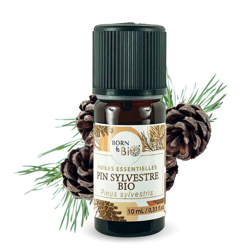 Óleo essencial de pinheiro silvestre biológico da Born to Bio 10 ml