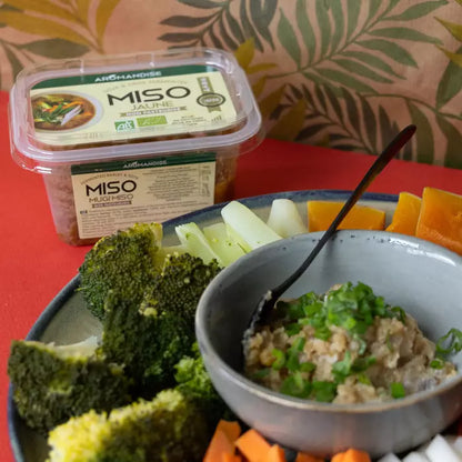 Miso Amarelo Bio - Não Pasteurizado