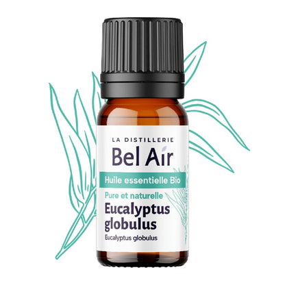 Organic Eucalyptus globulus Essential Oil 