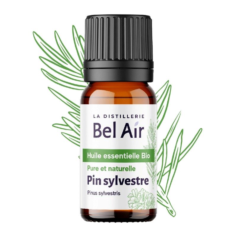 Organic Scots Pine Essential Oil 