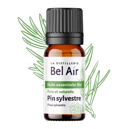 Organic Scots Pine Essential Oil 