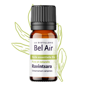 Organic Ravintsara Essential Oil 