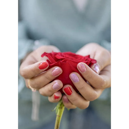 Conjunto de 3 Vernizes de Unhas à base de água - Rosas Eternas