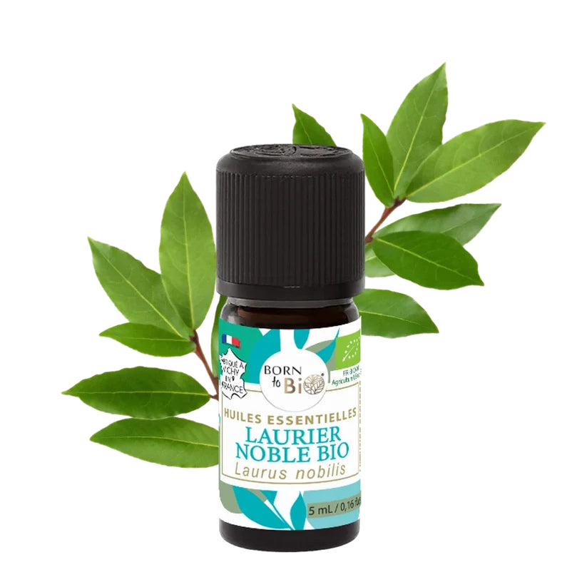 Óleo Essencial Biológico Louro (Laurier Noble) da Born to Bio 5 ml