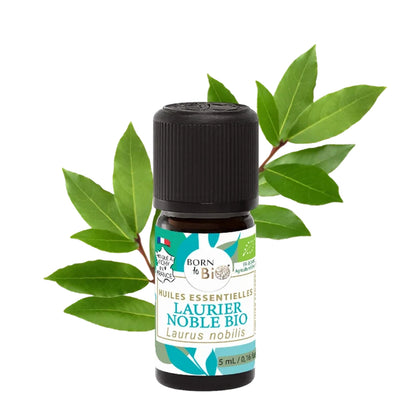 Óleo Essencial Biológico Louro (Laurier Noble) da Born to Bio 5 ml