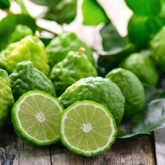 Bergamota (Citrus aurantium bergamia)  usado no Óleo Essencial Biológico da Born to Bio 