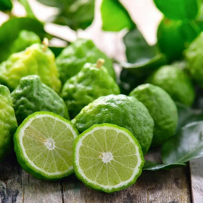 Bergamota (Citrus aurantium bergamia)  usado no Óleo Essencial Biológico da Born to Bio 