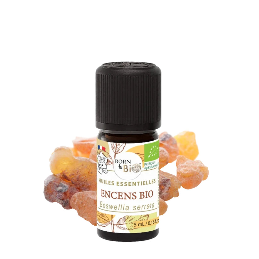Óleo Essencial Biológico Incenso (Boswellia serrata) da Born to Bio 5 ml 